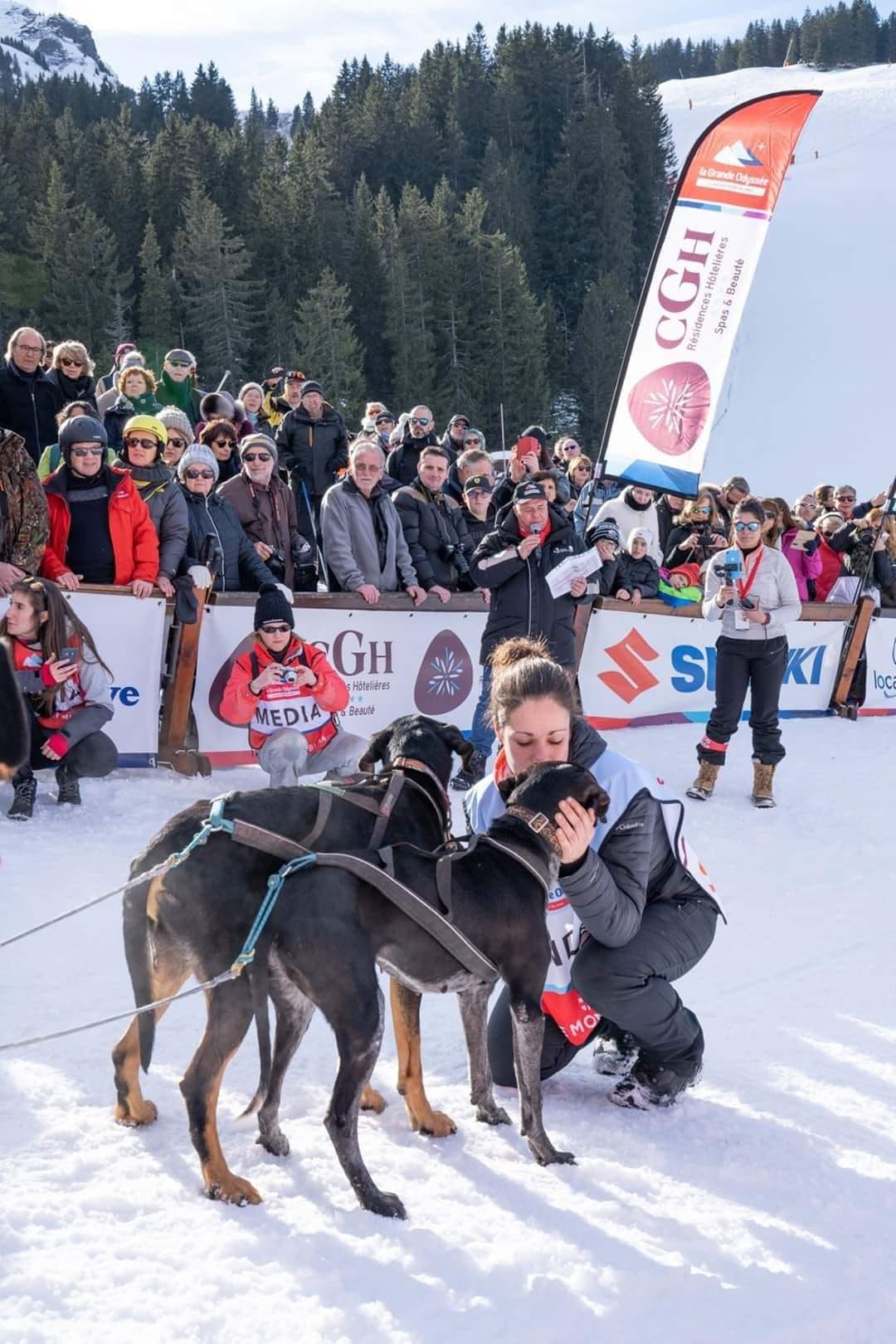 airgo educ education canine mes chiens